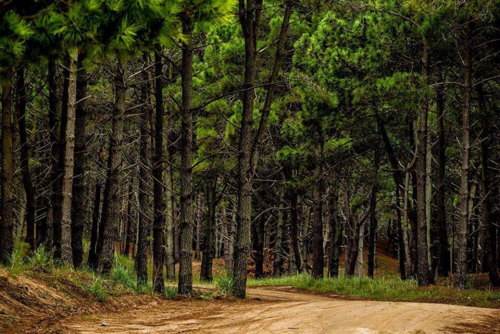 ¿Por qué ahora es el momento ideal para comprar una propiedad?