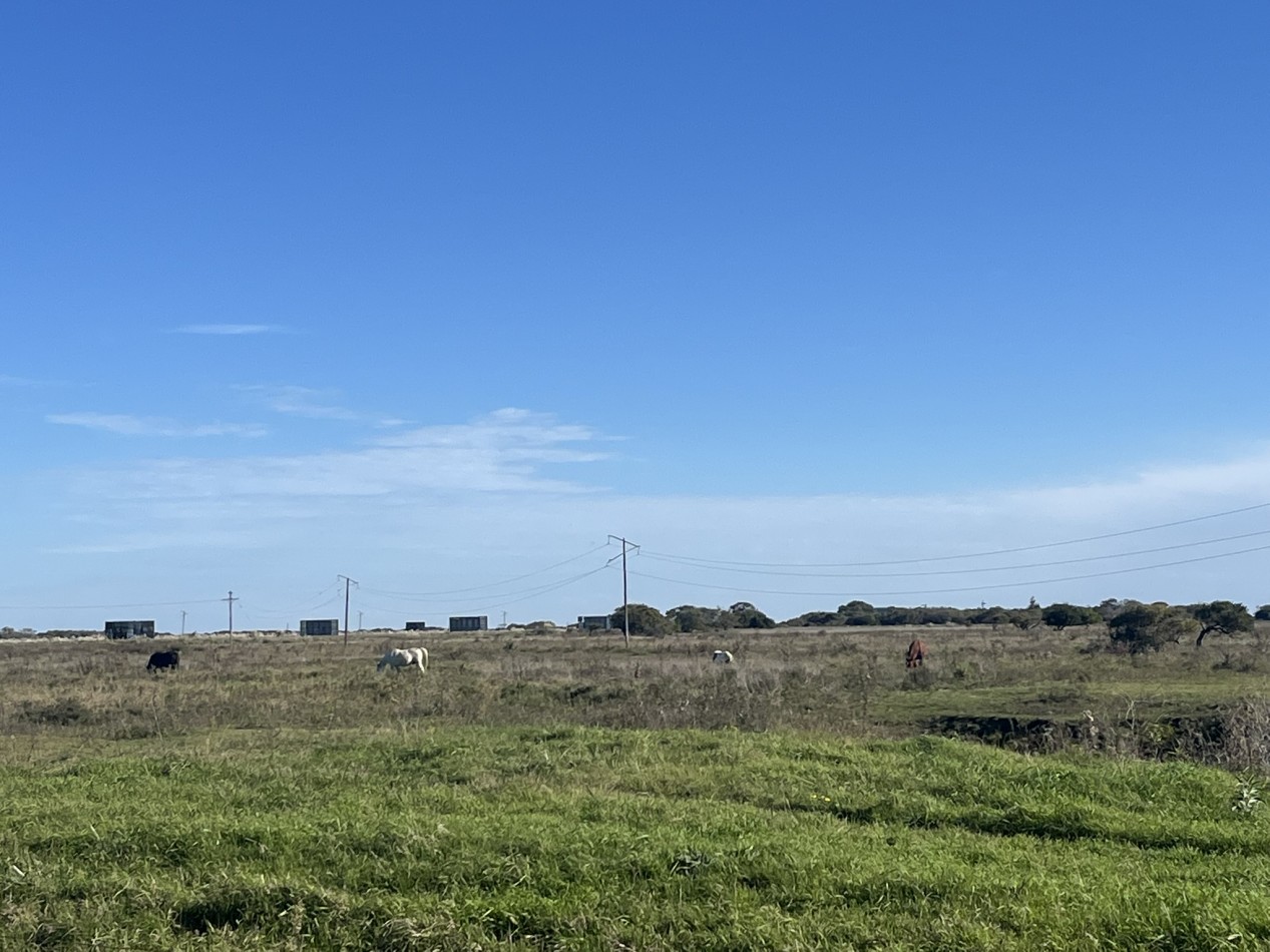 EN VENTA - PINAMAR - CHACRA EN BARRIO LAGUNA EL ROSARIO 8000m2