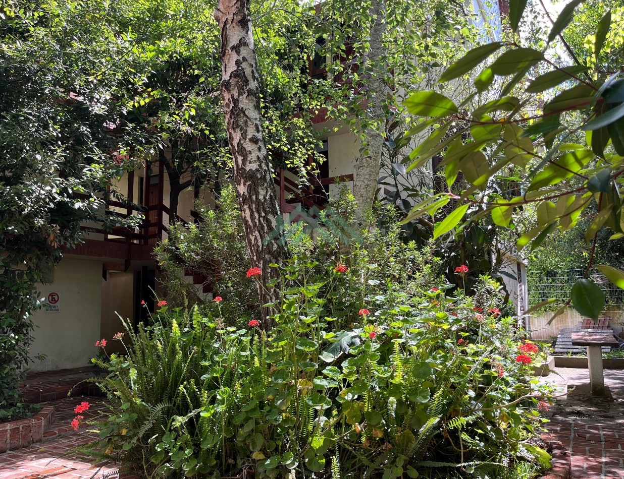 PINAMAR CENTRO - DEPARTAMENTO 3 AMB