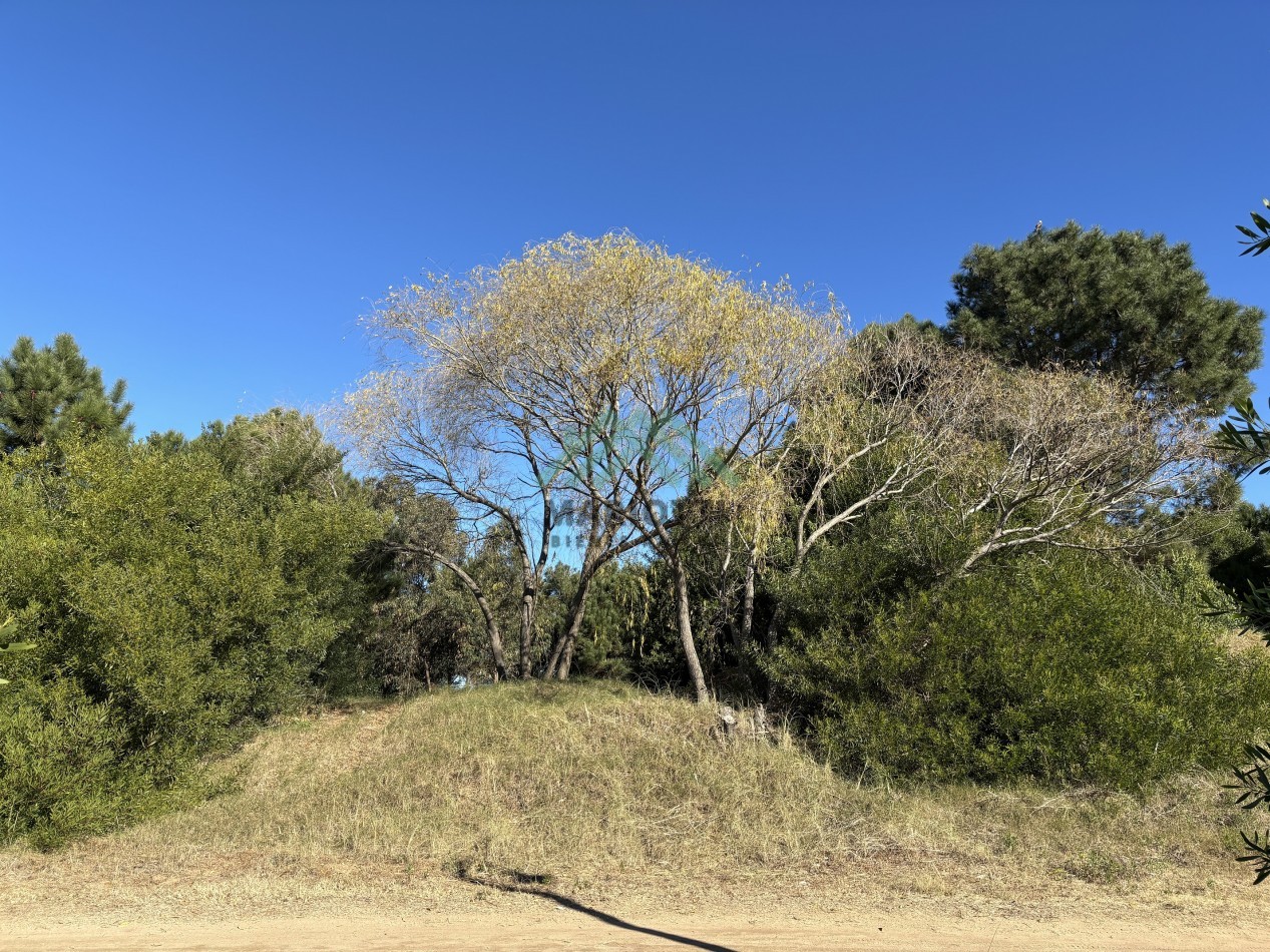 EN VENTA - COSTA ESMERALDA - LOTE BARRIO GOLF 2 - 1.530M2 CON FONDO DE 41M LINEALES DE VISTA AL CAMPO DE GOLF