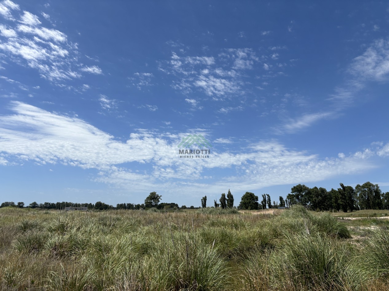 En Venta - OPORTUNIDAD LOTE EN EL SALVAJE