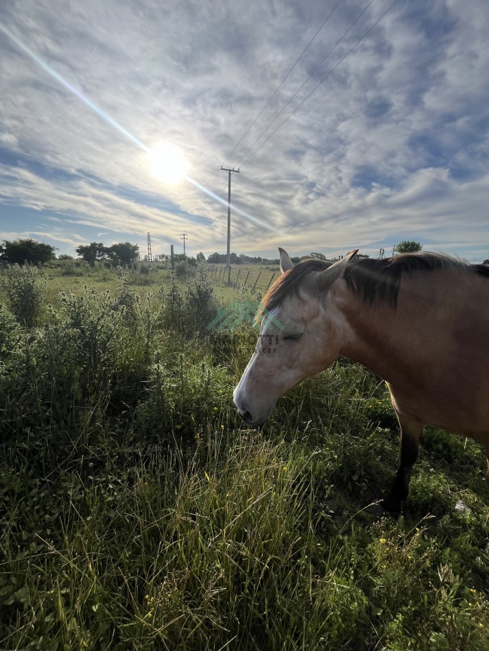 EN VENTA - GENERAL MADARIAGA - LOTE 3000M2 CON FRENTE A LA RUTA 74  