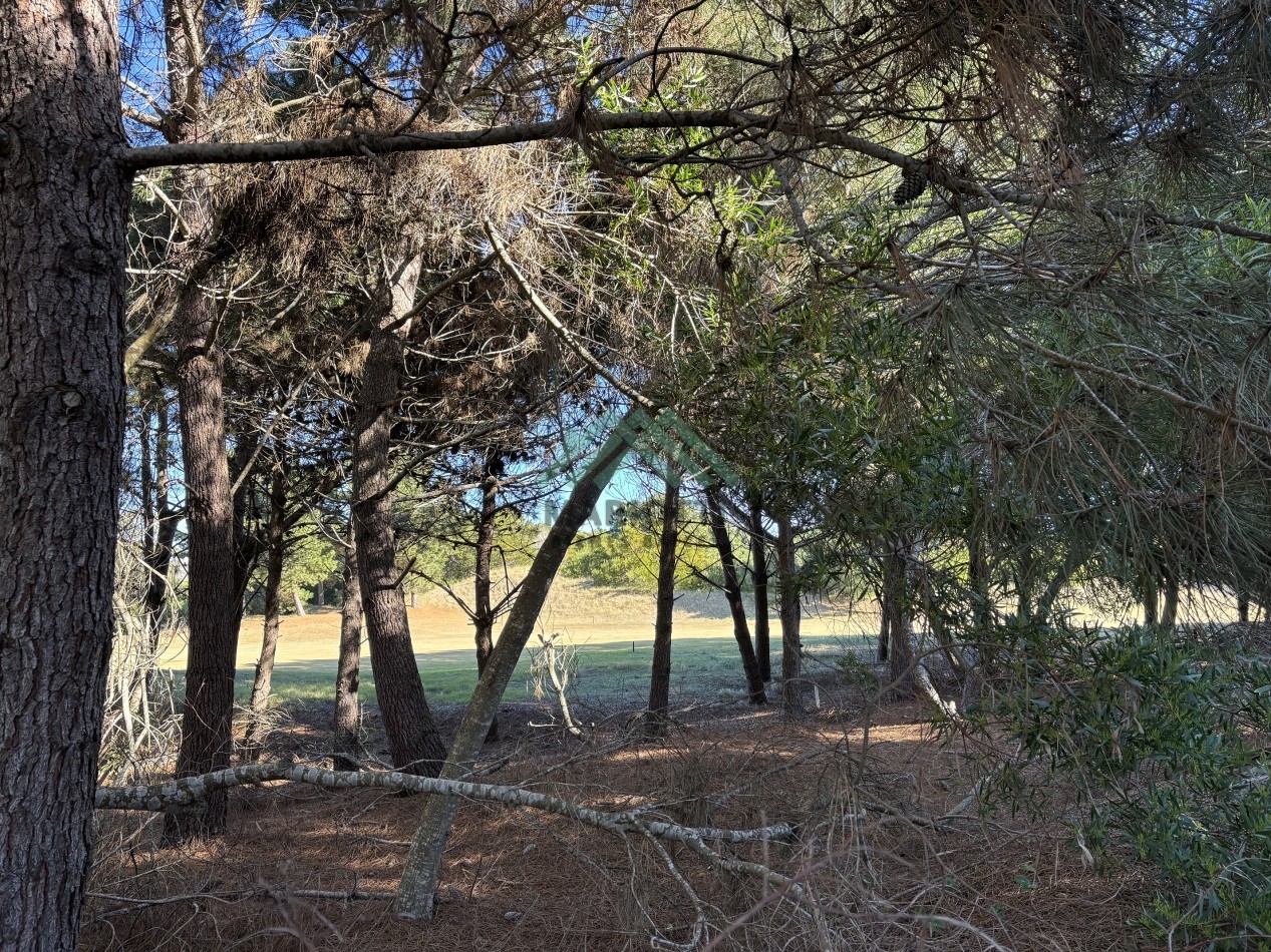 EN VENTA - COSTA ESMERALDA - LOTE BARRIO GOLF 2 - 1.530M2 CON FONDO DE 41M LINEALES DE VISTA AL CAMPO DE GOLF