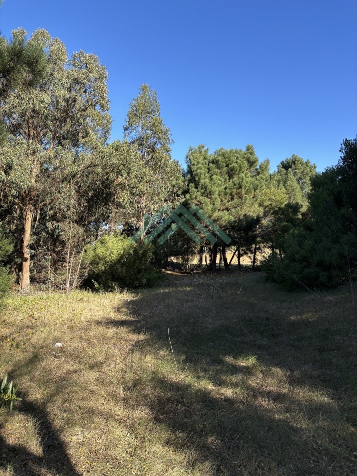 EN VENTA - COSTA ESMERALDA - LOTE BARRIO GOLF 2 - 1.530M2 CON FONDO DE 41M LINEALES DE VISTA AL CAMPO DE GOLF