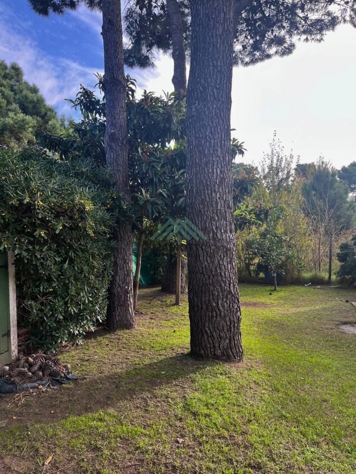 EN VENTA - OSTENDE - OPORTUNIDAD - CASA 3 DORMITORIOS 2 BAÑOS CON DEPARTAMENTO INDENPENDIENTE