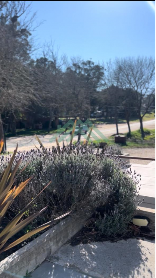 EN ALQUILER - ESPECTACULAR LOCAL DE  465M2 OSTENDE - PINAMAR