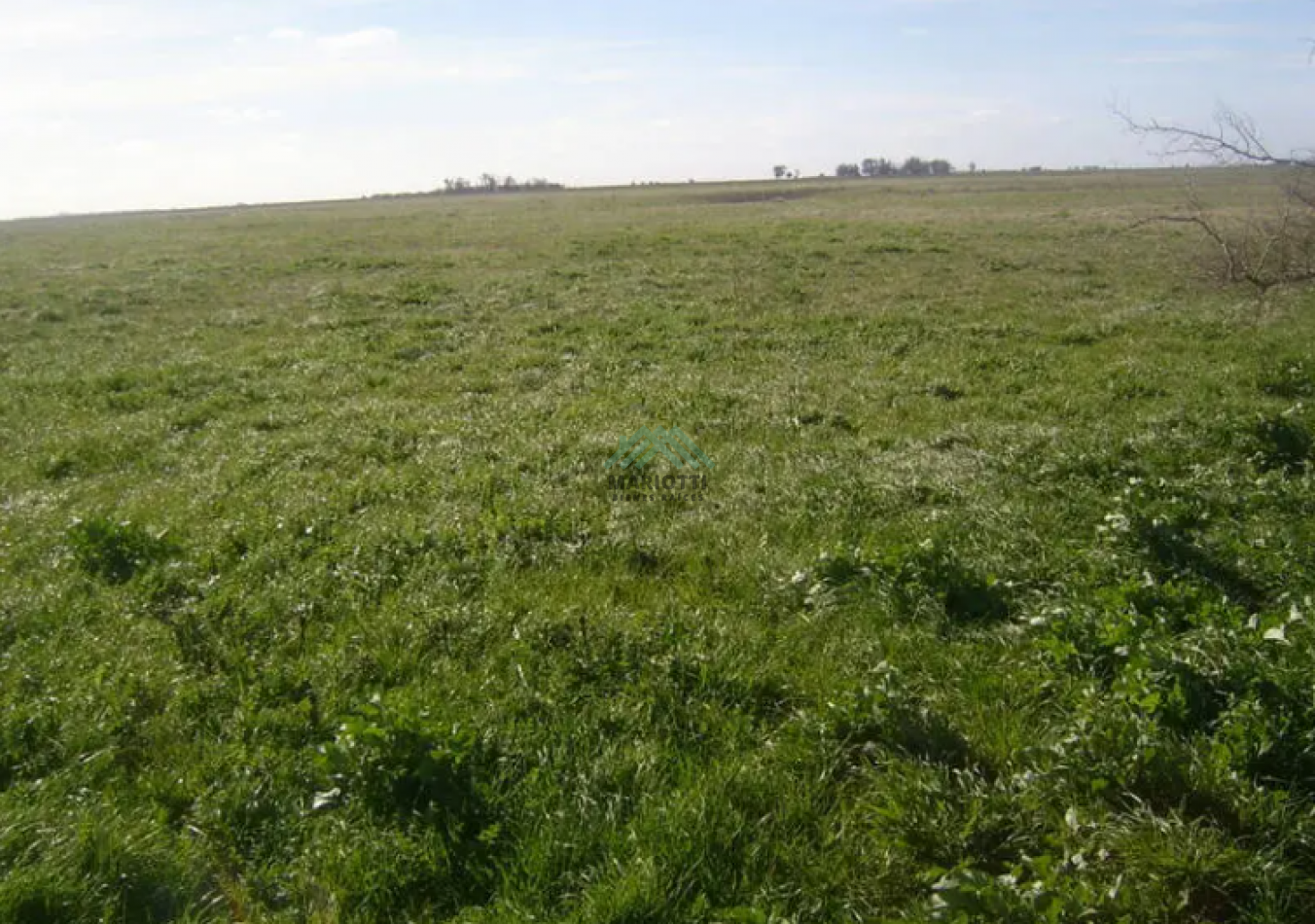 EN VENTA - GENERAL MADARIAGA - LOTE 3000M2 CON FRENTE A LA RUTA 74 