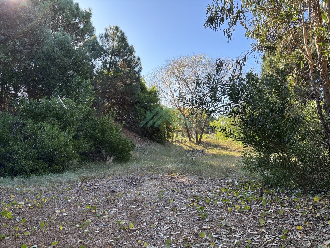 EN VENTA - COSTA ESMERALDA - LOTE BARRIO GOLF 2 - 1.530M2 CON FONDO DE 41M LINEALES DE VISTA AL CAMPO DE GOLF