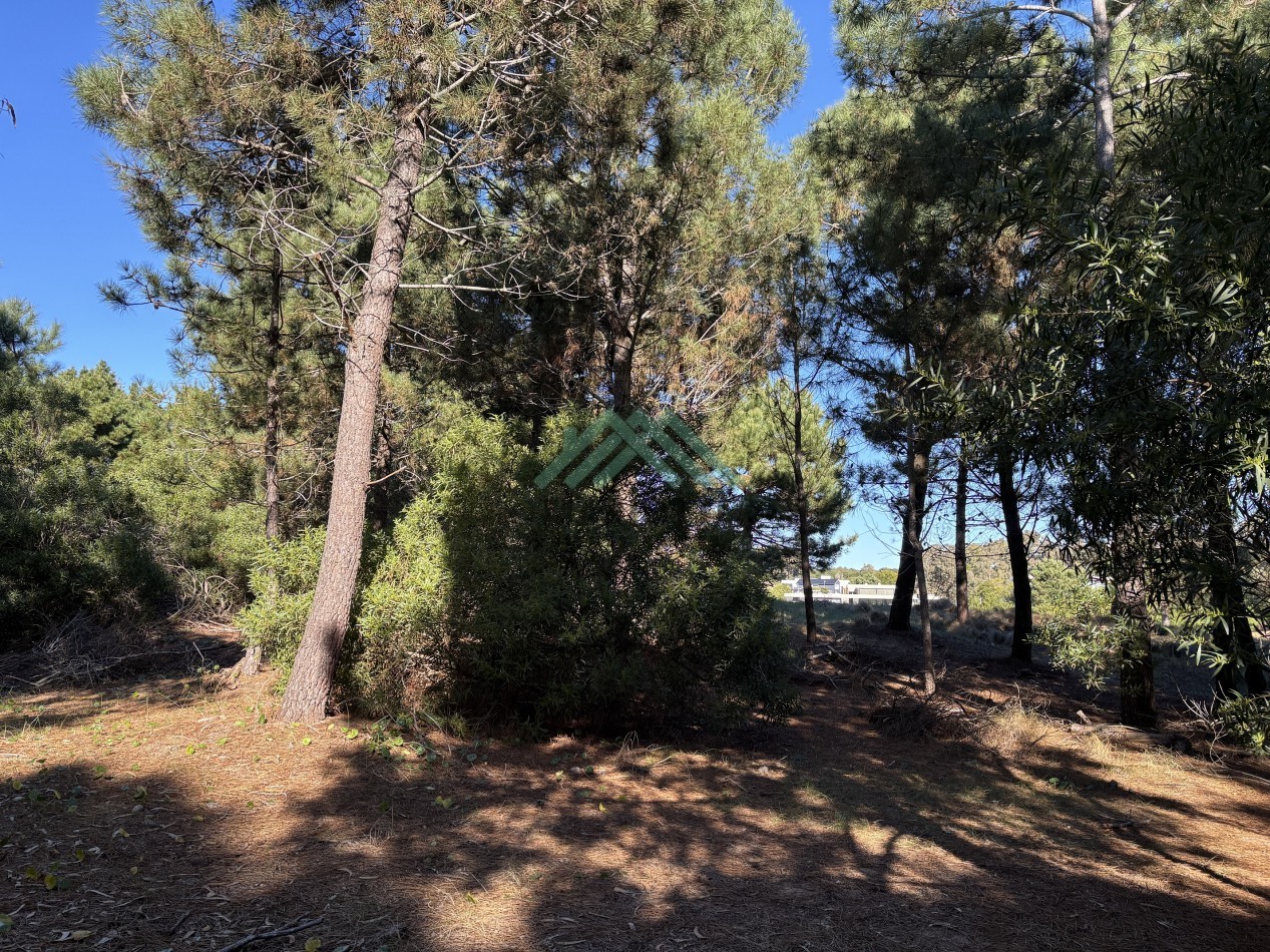 EN VENTA - COSTA ESMERALDA - LOTE BARRIO GOLF 2 - 1.530M2 CON FONDO DE 41M LINEALES DE VISTA AL GOLF