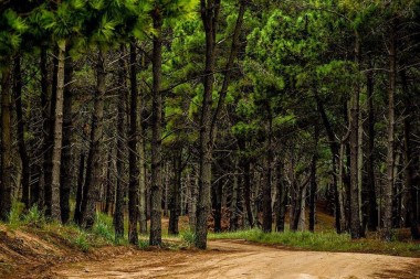 ¿Por qué ahora es el momento ideal para comprar una propiedad?