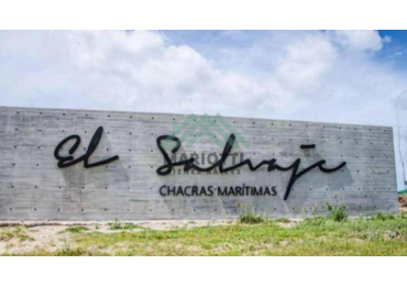 En Venta - OPORTUNIDAD LOTE EN EL SALVAJE